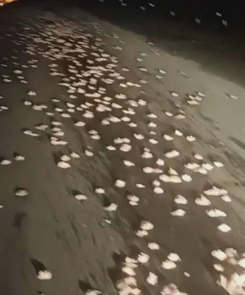 超詭異！男子開夜車發現地上白花花一片「以為是棉花」　下車查看被嚇破膽：撒了3公里，不敢撿