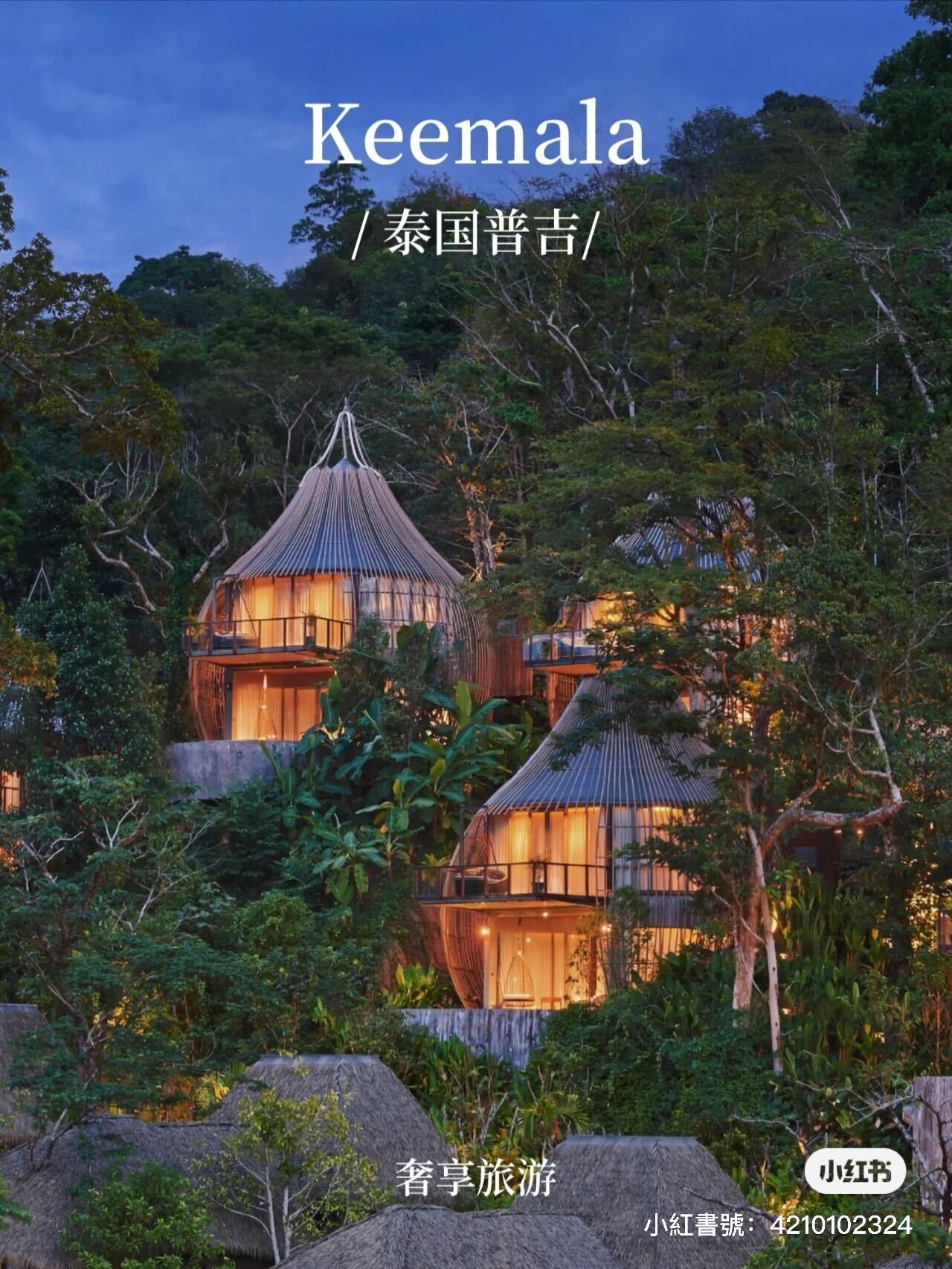 森林裡的精靈小屋!洋蔥型「竹編木屋Villa」藏身綠樹中 房內還有「露天私人泳池」根本童話成真❤️