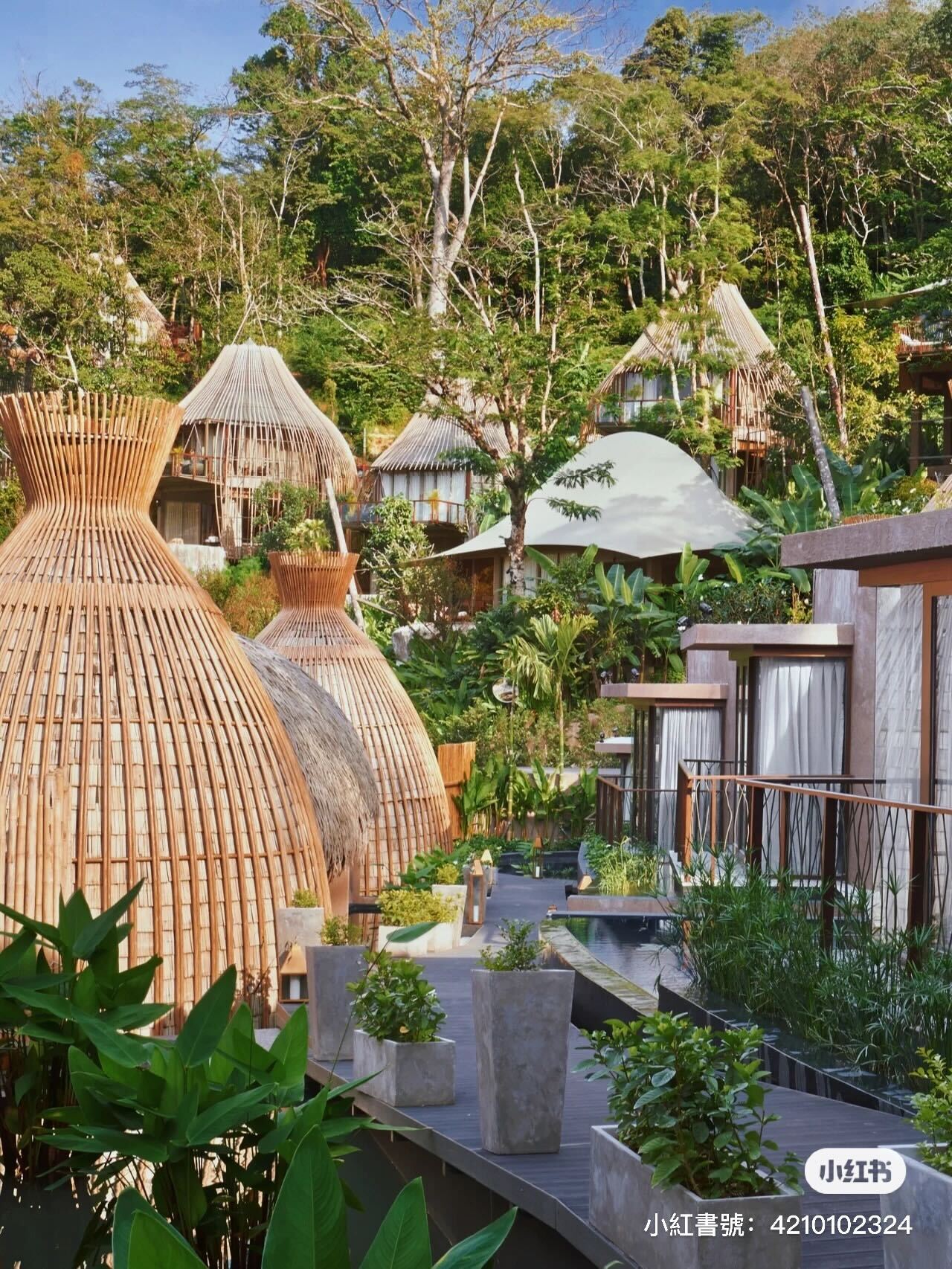 森林裡的精靈小屋!洋蔥型「竹編木屋Villa」藏身綠樹中 房內還有「露天私人泳池」根本童話成真❤️