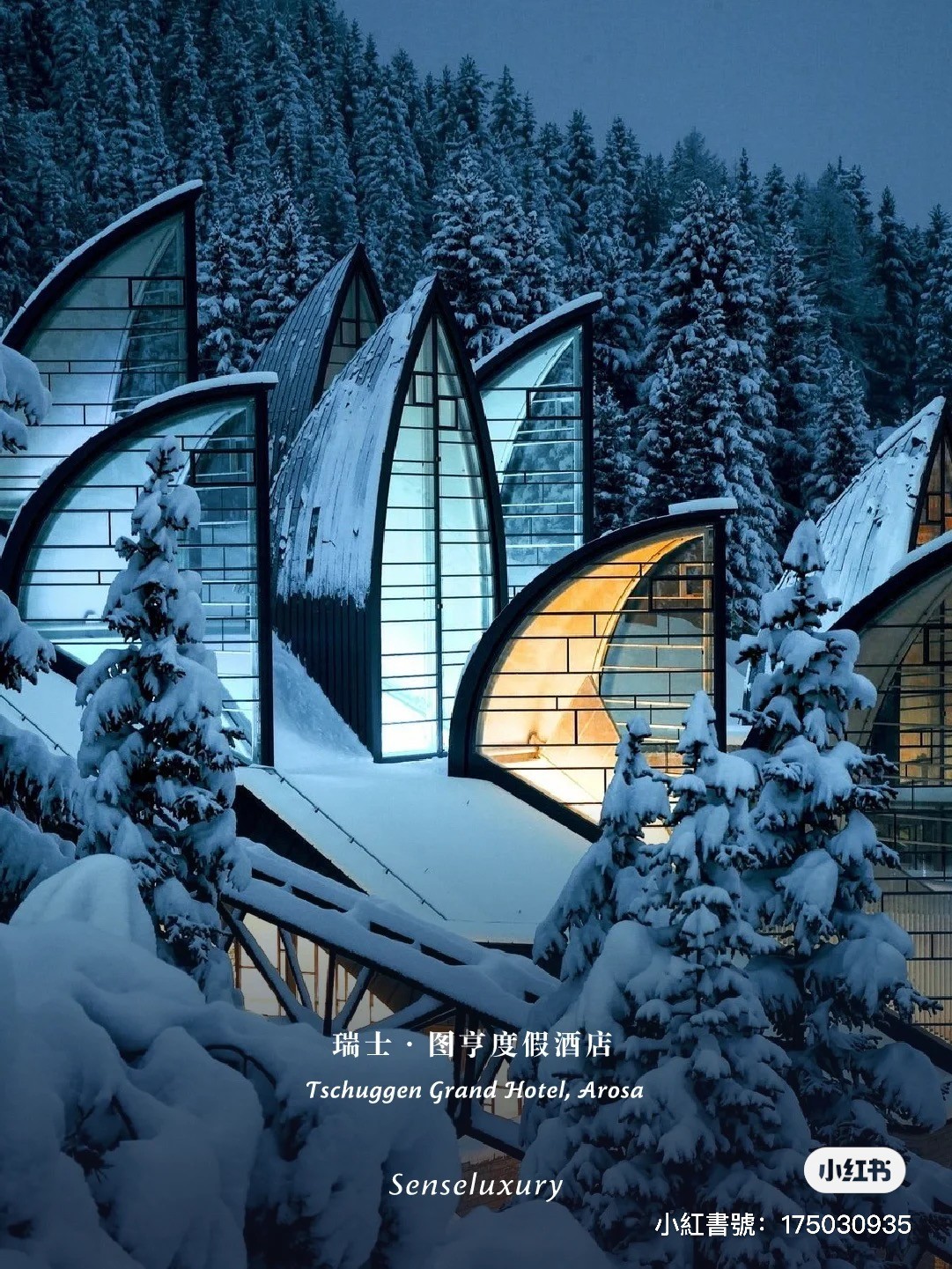 專屬纜車搭上山!海拔1800m「夢幻玻璃船型飯店」超驚艷 一到夜晚「外牆秒變霓虹美翻」雪地裡閃耀