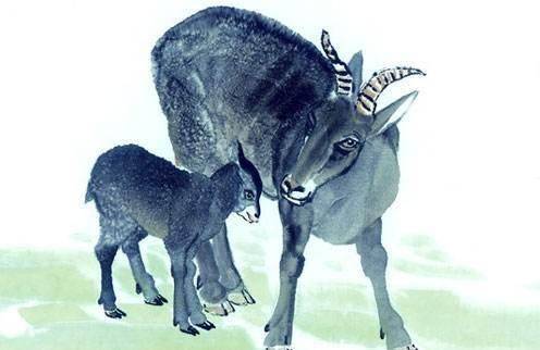 最善良的4個生肖!人緣好貴人多 中年前後財運暴漲