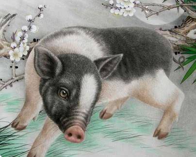 最善良的4個生肖!人緣好貴人多 中年前後財運暴漲