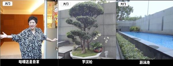 向太陳嵐首度公開香港奢華豪宅 古董玉器、名牌包牆驚艷全網 連馬雲都讚嘆不已