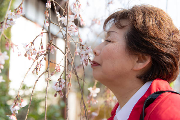 原本和樂融融！爸媽走後「留下大筆遺產」4手足就此絕裂　「龐大代價換來一無所有」妹妹嘆：財產最好捐公益