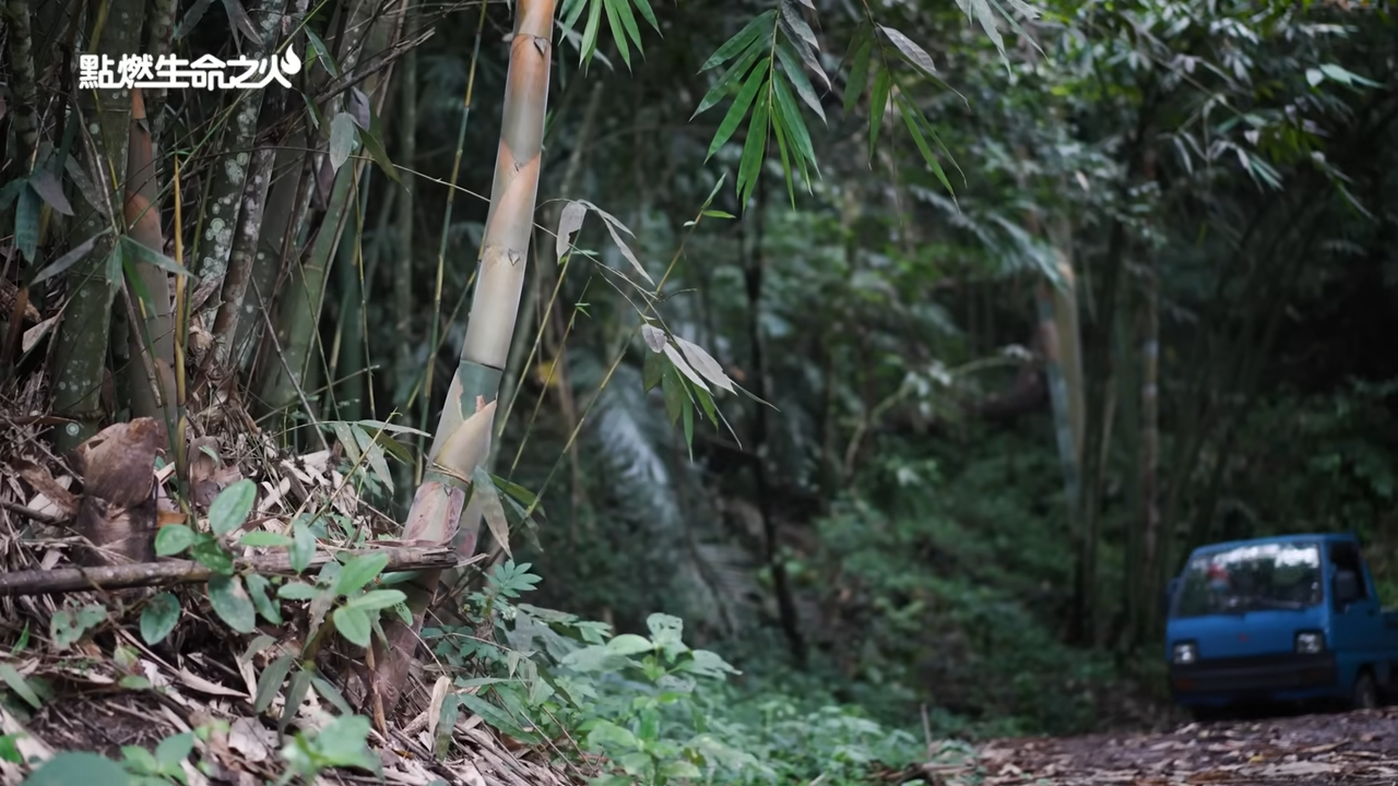 家住漏水破房！8歲兒深山砍竹「日賺1百元」料理家務樣樣行　母不捨「一出生就跟著吃苦」他曝心中最大心願