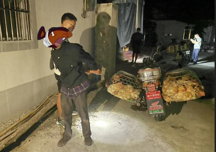 深夜入室偷雞！小偷被地主「放鞭炮嚇死」曝屍雞棚　家屬「索賠250萬」法院判決出爐