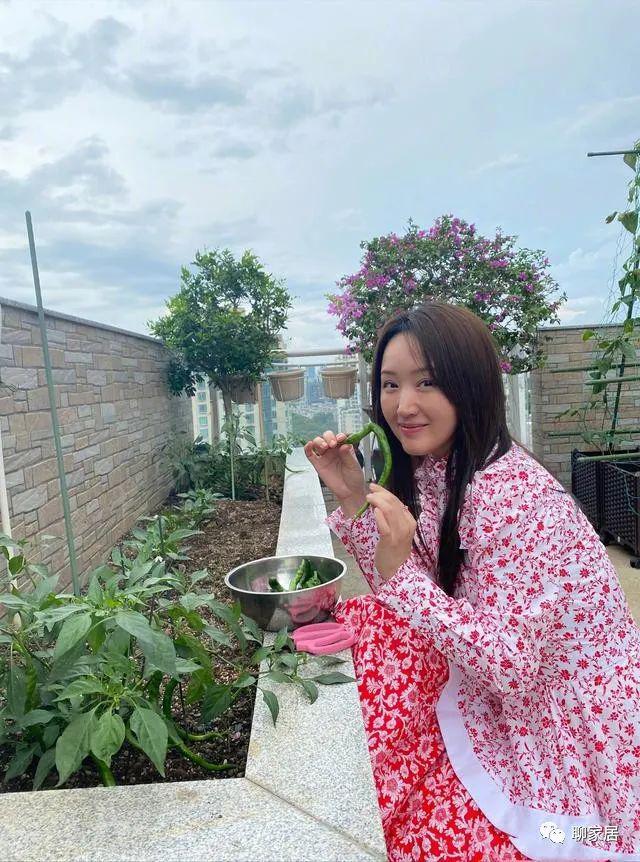 逆境重生！她是「玉女掌門人」紅極一時　今51歲「落魄到工地賣唱」網友：不可憐「豪宅頂樓有花園」