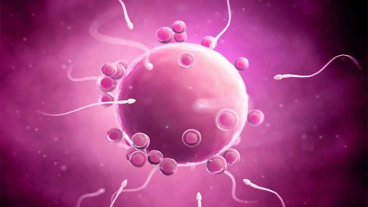 如果不避孕！女性「一生能生多少個孩子」？醫生給出「答案」網友大跌眼鏡