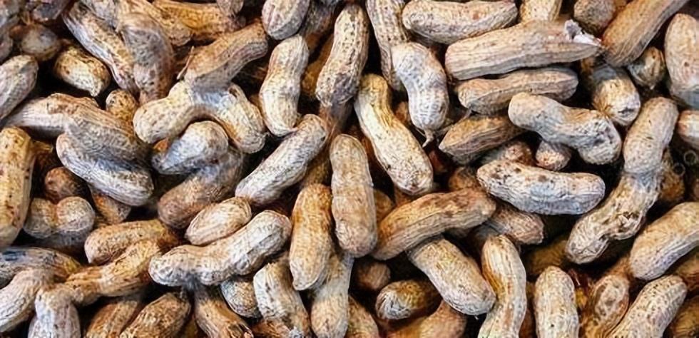 5大臨床癥狀要注意！肝癌越來越多　醫生提醒「1種水果」或比喝酒更傷肝：別再吃了