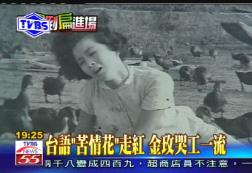 一句台語不會說！台灣第一苦旦「苦練一口道地口音」演童養媳爆紅　「當紅為愛淡出」兩段婚姻皆無果