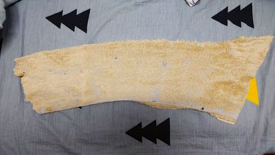 趁女兒去上學！公婆強制「偷洗15年小被被」媽媽也擋不了　無奈秒變臉：要掀起家庭革命了