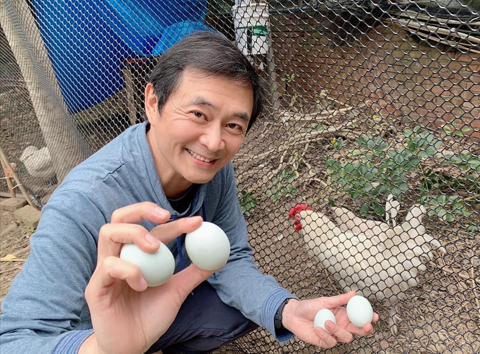 《花系列》資深男星湯志偉的雙面人生：螢光幕後的雞農日常，一年省下近3萬元蛋錢