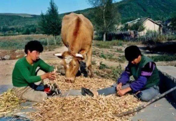 父親遺留500萬遺產！弟弟僅取5萬背後藏暖心真相 哥哥得知實情淚崩