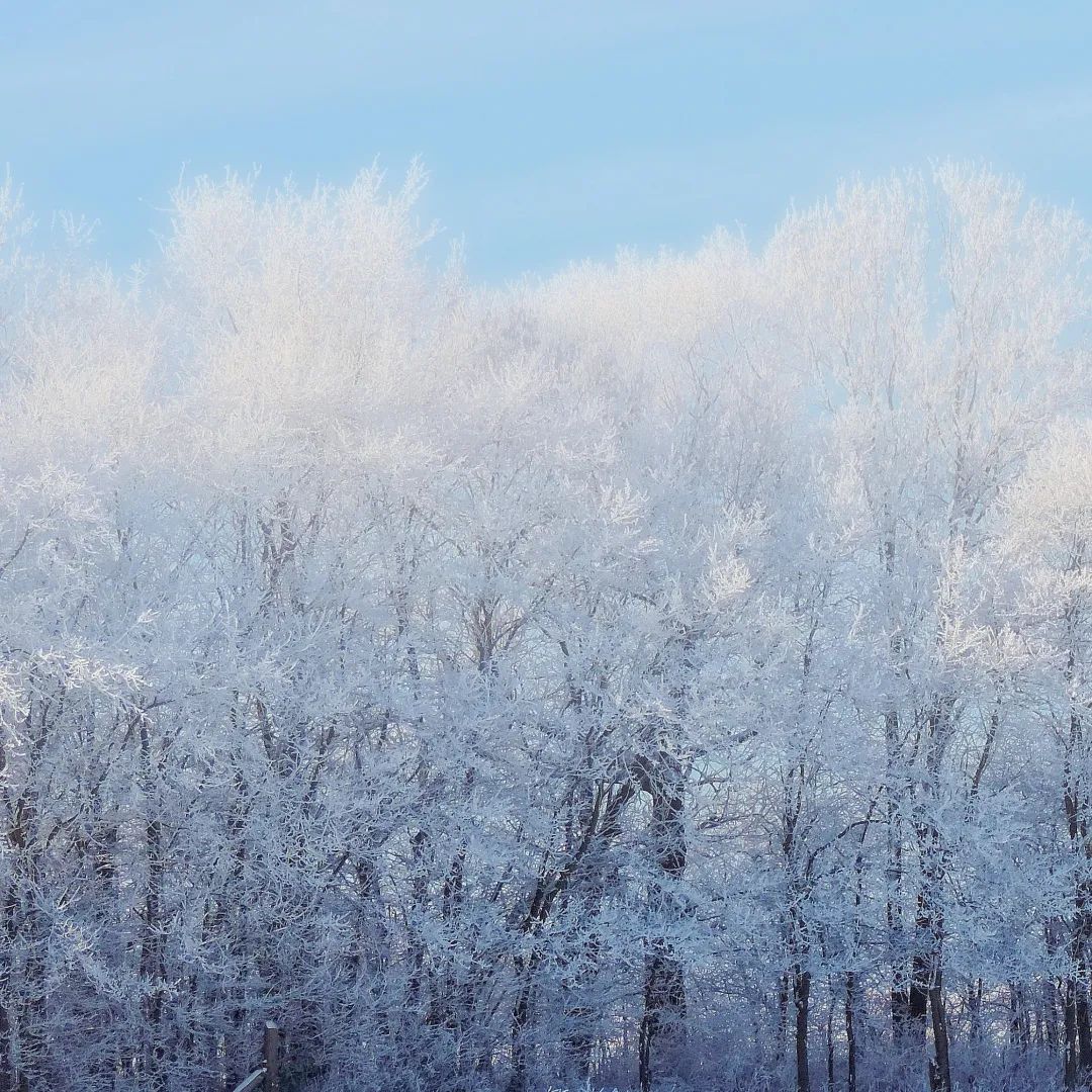 明天就是小年夜！命理師「點出6禁忌警告」　犯了這點「恐猝死」：別太鐵齒