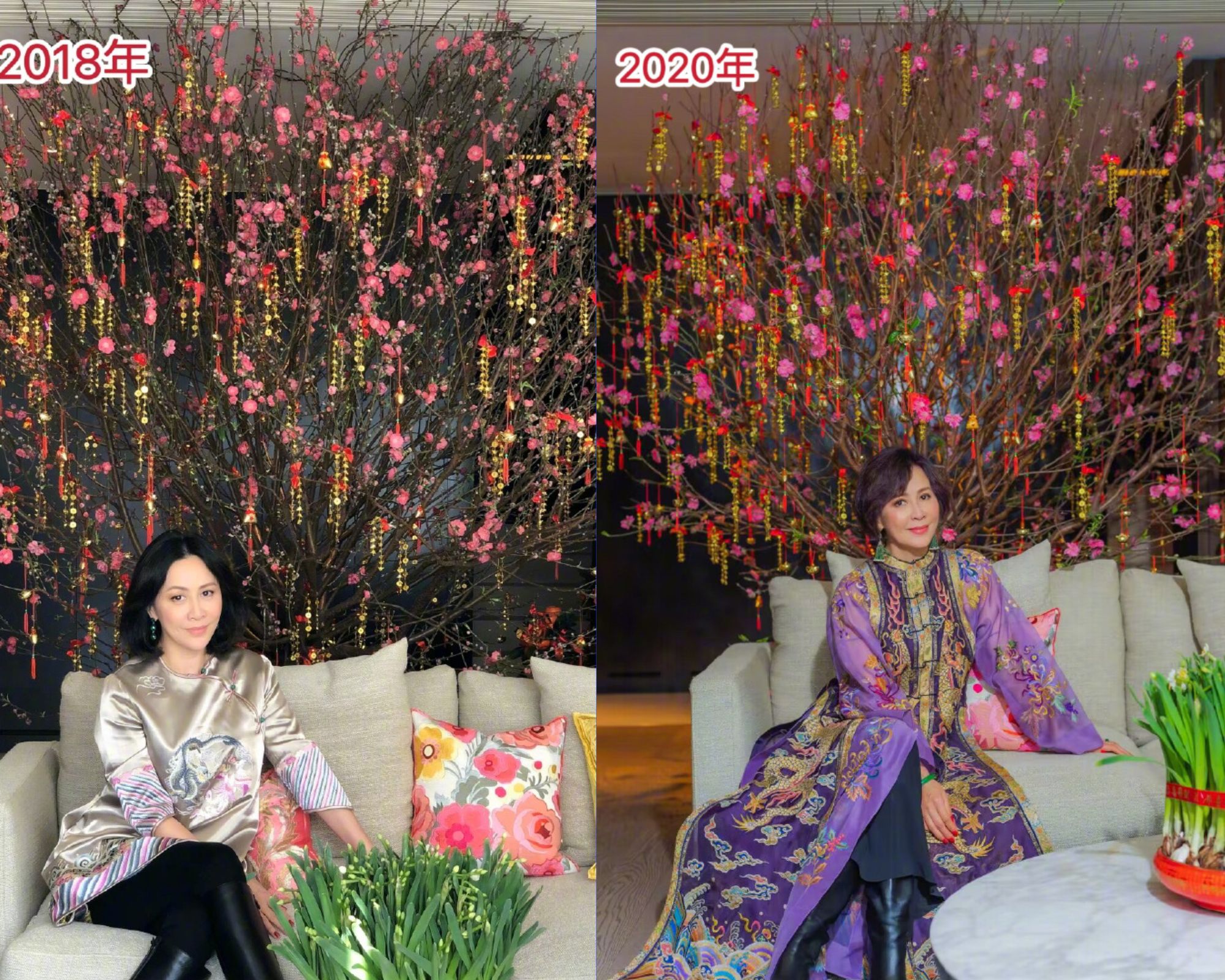 公開放閃！劉嘉玲「桃花樹下合影尪」一細節超甜蜜　「梁朝偉頭髮花白」她宛如不老女神