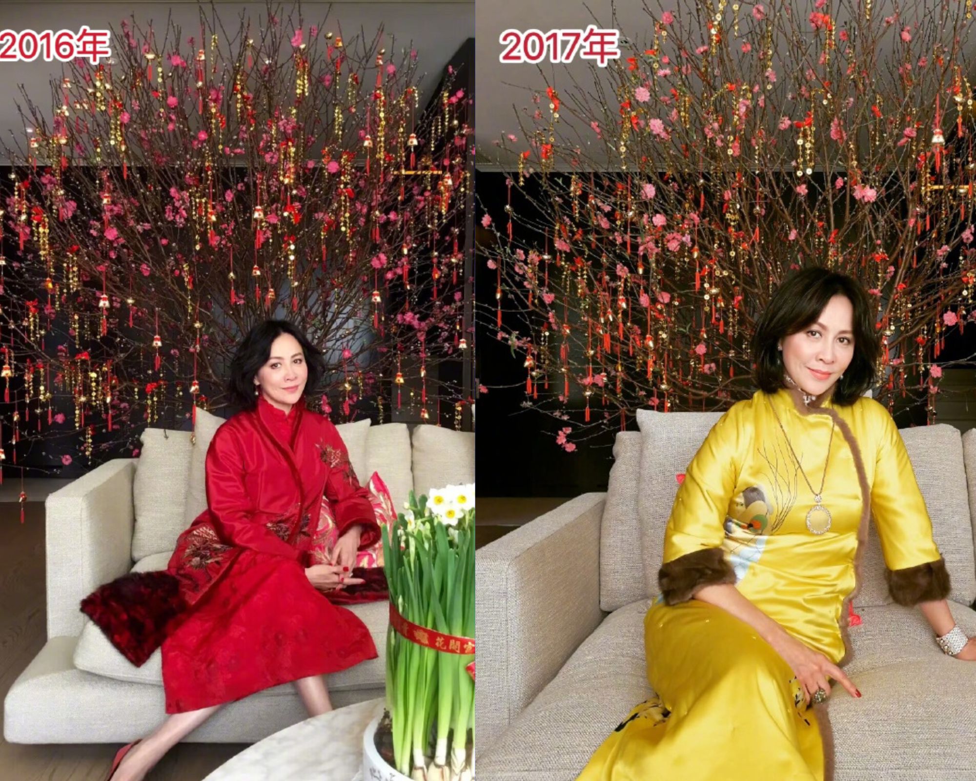 公開放閃！劉嘉玲「桃花樹下合影尪」一細節超甜蜜　「梁朝偉頭髮花白」她宛如不老女神