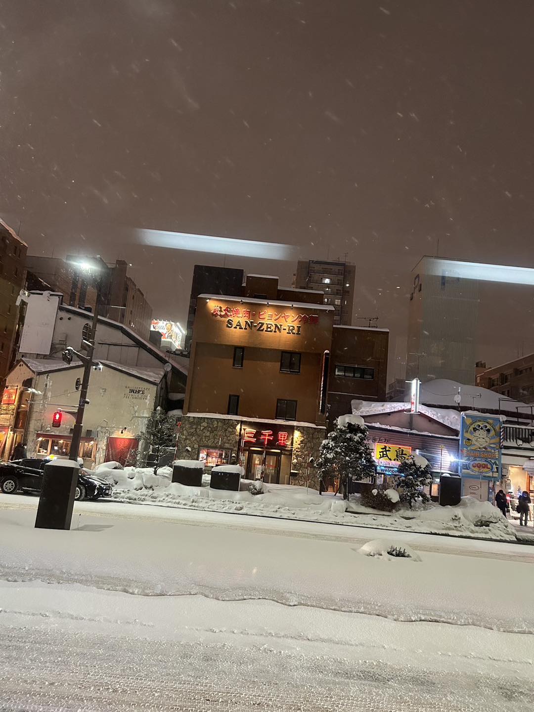 男星偕妻留台工作！明星阿嬤「一打四孫衝北海道」爽玩雪　畫面曝光「網讚最強阿嬤」