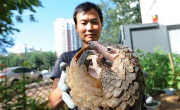 似蛇非蛇！男子捕撈到「一奇異生物」被建議：烤了吃　專家鑒定後「嚇出一身冷汗」秒速放生