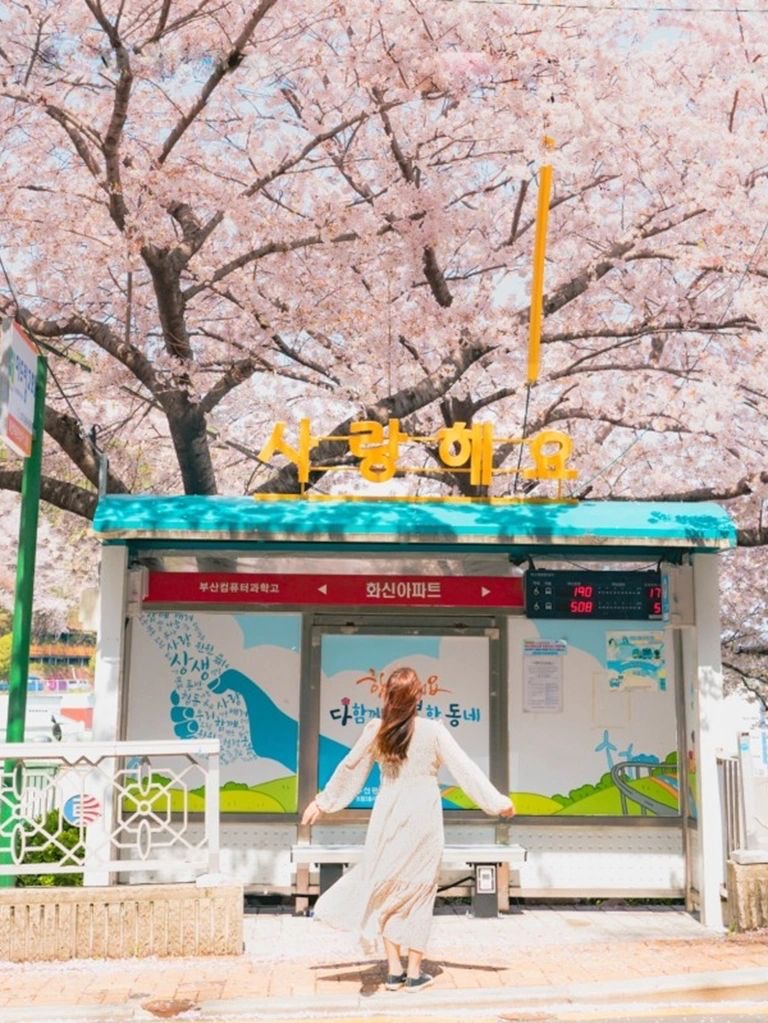 朦朧粉紅夢境！粉嫩櫻花季「花間小路坡道」宛如韓劇景色　馬路旁「五顏六色小房子」相互映襯好唯美