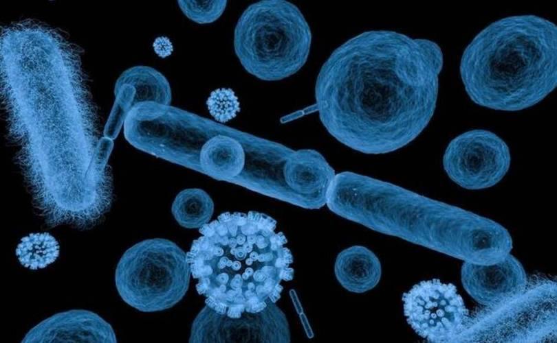 蘋果是胃病的「催化劑」？醫生勸告：若想保護胃「7種水果」要少碰