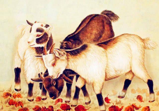 生來富貴命！「閻王爺」都不敢惹的3大生肖女　能「逢凶化吉」旺夫旺子又旺財：誰娶到誰享福 