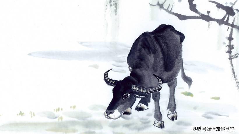 有福不會享!喜歡操心的「3大生肖女」 習慣付出「一輩子吃苦不斷」看看有你嗎?