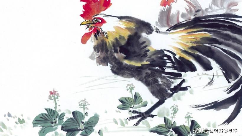 有福不會享!喜歡操心的「3大生肖女」 習慣付出「一輩子吃苦不斷」看看有你嗎?