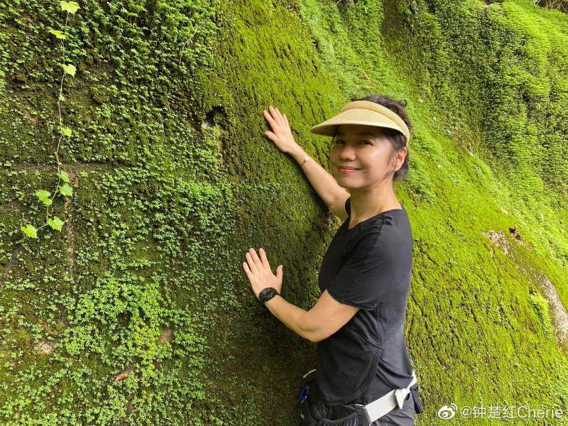 息影31年！一代女神喪夫後「獨居香港清幽生活」　「悄悄現蹤台北」大嗑火鍋模樣超凍齡