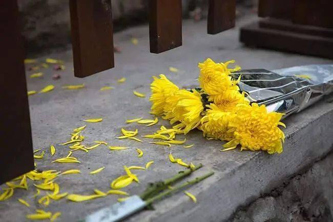 3歲以下孩童別上墳!俗話說「不帶4人掃墓」後代一直富 「女婿上墳有辱先人」寓意要搞懂