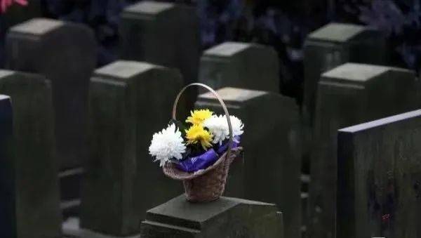 3歲以下孩童別上墳!俗話說「不帶4人掃墓」後代一直富 「女婿上墳有辱先人」寓意要搞懂