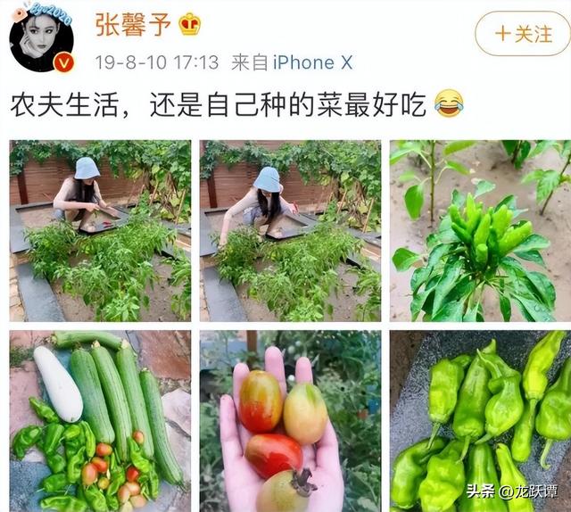 被前男友外流親密照！女星「三段戀情皆失敗」情路坎坷　苦盡甘來「終於嫁給愛情」成最美軍嫂