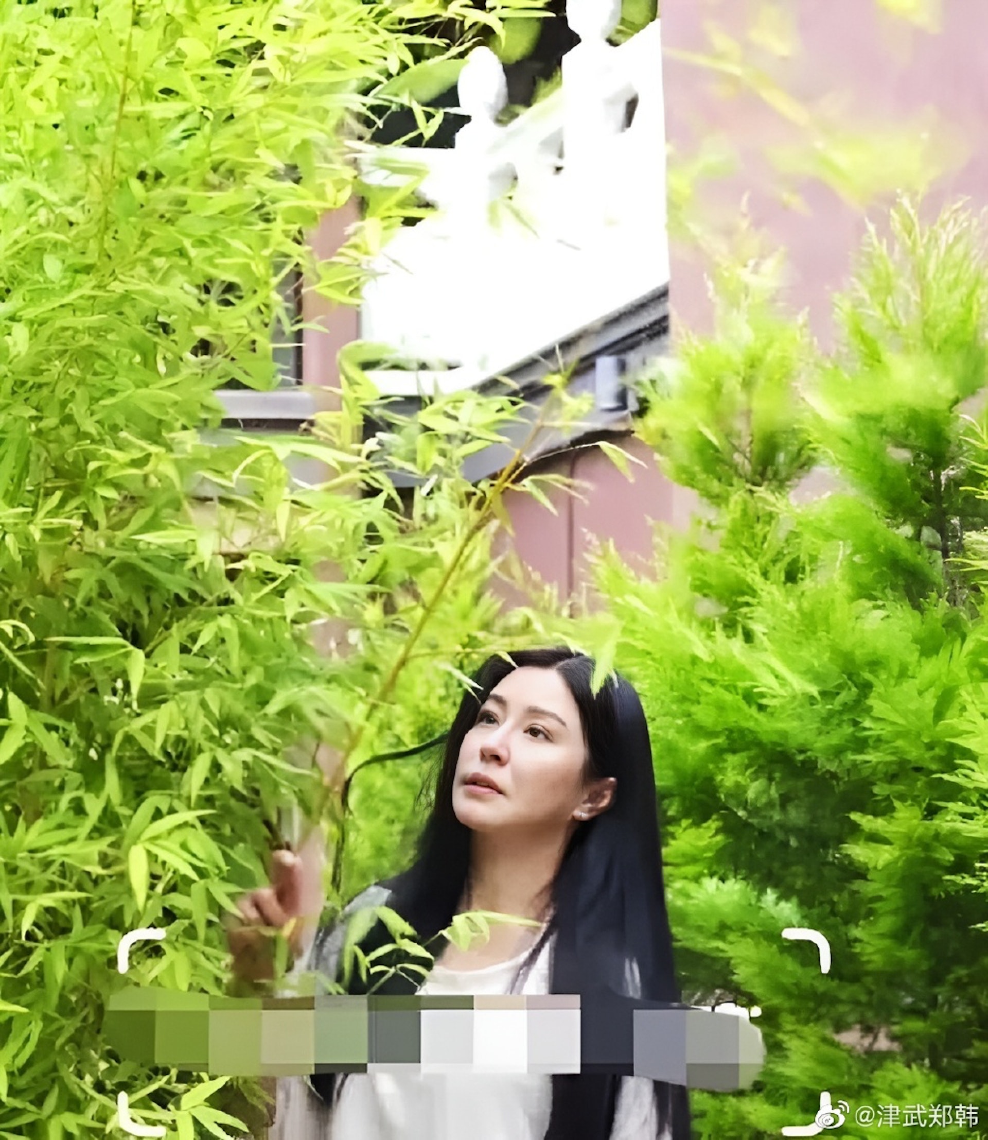 淡泊名利19年！一代女神被拍到「寺廟潛心禮佛」歲月靜好　「素顏零皺紋」網嚇到不可思議