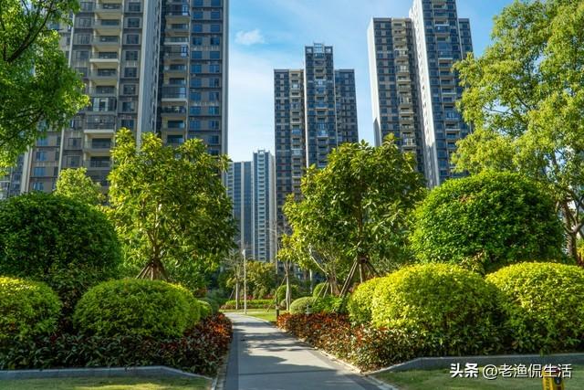 兒子夫妻要買房！我擺攤30年「湊到頭期款200萬」　「兒媳一通電話」打斷買房念想