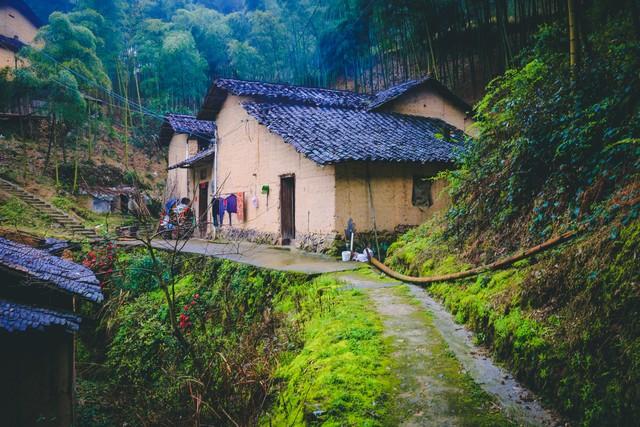 奶奶走後！大伯和父親「爭幾棵樹」撕破臉20年　直到「父親接到一通電話」當場老淚縱橫