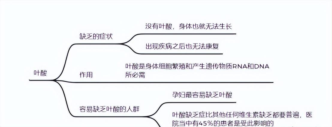百歲阿公都在吃！4種食物是「天然葉酸」　常吃可以「預防中風、癡呆還控血壓」現在知道還不晚