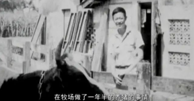 從養豬到話劇泰斗！老戲骨不顧爭議「娶22歲學生」喜得龍鳳胎　如今72歲「將人生過成了喜劇」