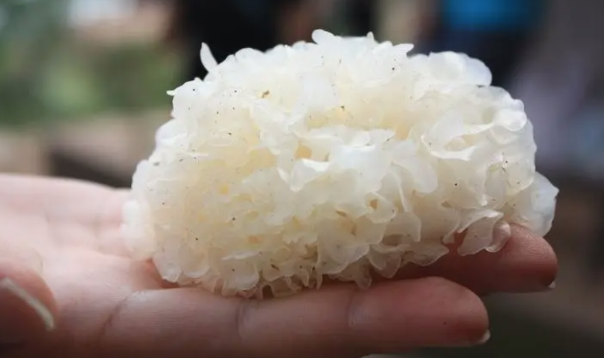 鉀含量是番茄17倍！入伏前後必吃「4種高鉀食物」　中老年多補充：遠離夏躁疲勞