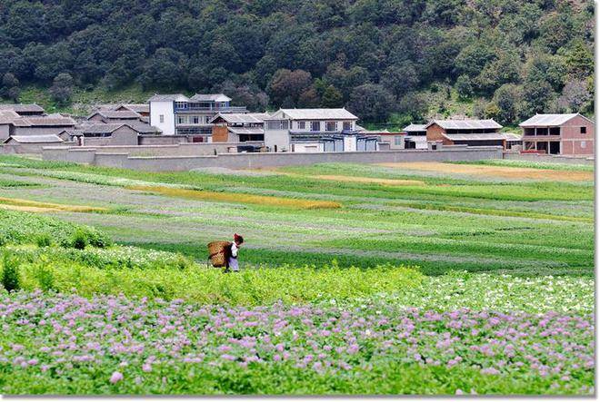 兒子孝順又聽話！婚後「眼裡只有岳母沒親媽」　拆遷獲500萬補償款「得知錢的去向」兒子跪倒痛哭