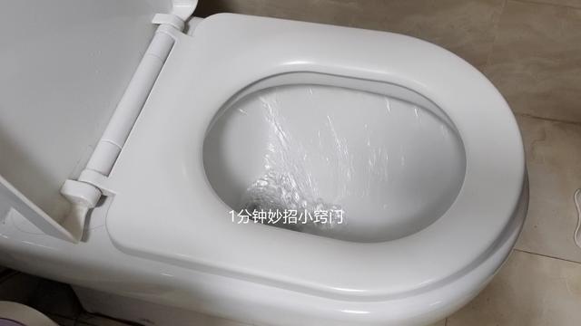 按對了嗎？馬桶上「一大一小按鈕」各有功用　網友驚呼「這些年都按錯了」：難怪常壞掉