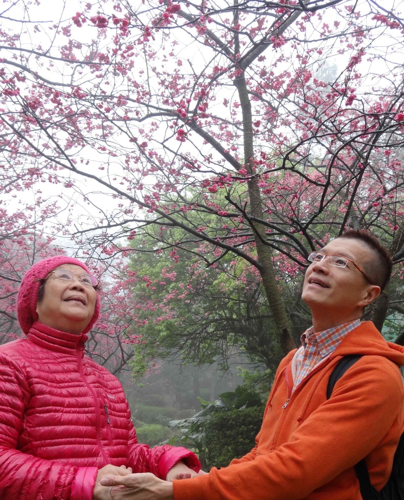 長照病母20年！知名作家身心崩潰「開不了口求助親姊」：怕被說懦弱　轉念「母親忘了我又何妨」：只求盡份隨緣