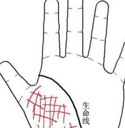 手有「此紋」的人！晚年定有好運　十有八九「富貴吉祥」晚年不愁