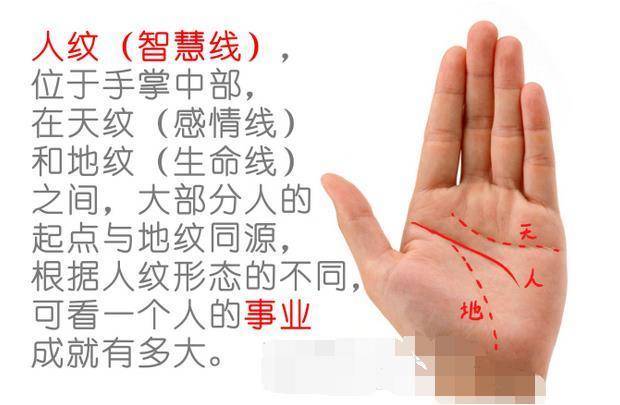 手有「此紋」的人！晚年定有好運　十有八九「富貴吉祥」晚年不愁