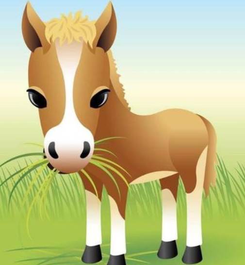 媽祖點你了!「5生肖」馬上翻身 恭喜上榜生肖