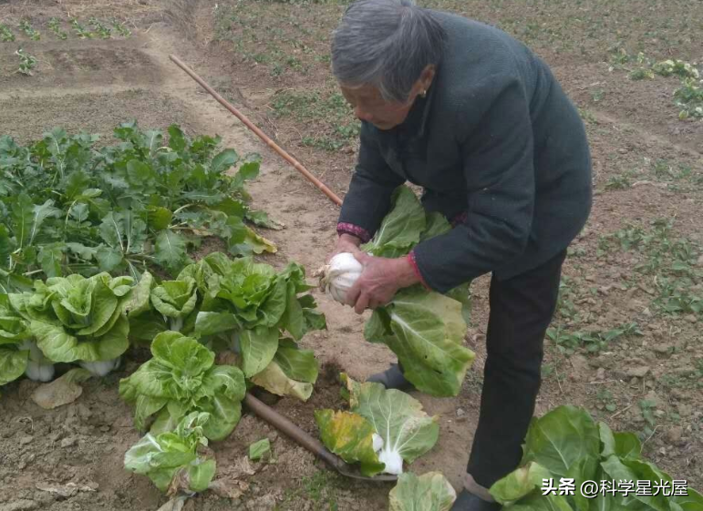 皮膚整片潰爛！71歲母親骨癌晚期「疼得一心求解脫」　女兒強行餵飯「哭求別咽氣」掀兩派網友論戰