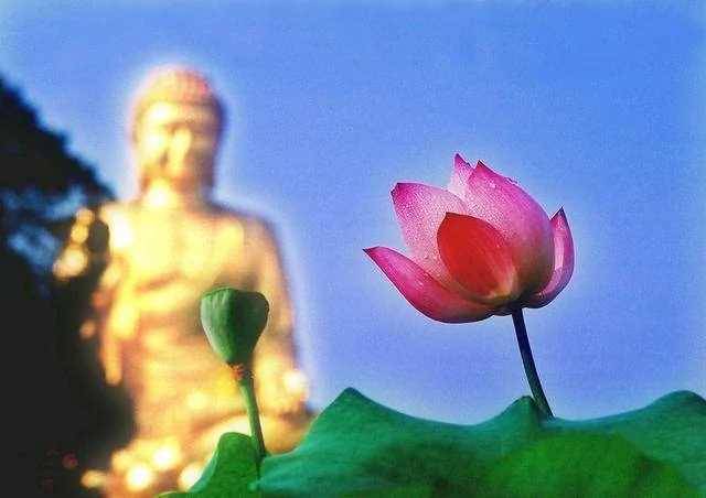 今生的夫妻！「前世」是你什麼人？看過的都哭了
