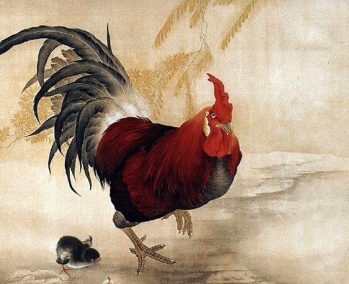 比看護還累!晚年最「苦命」的3大生肖女 為丈夫和子女操心「卻沒人心疼自己」