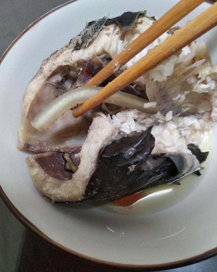 在家煮鱘龍魚！網友見魚肚「出現半透明水管」秒吐出來　老饕笑喊「太不識貨」：皇帝用來補身的