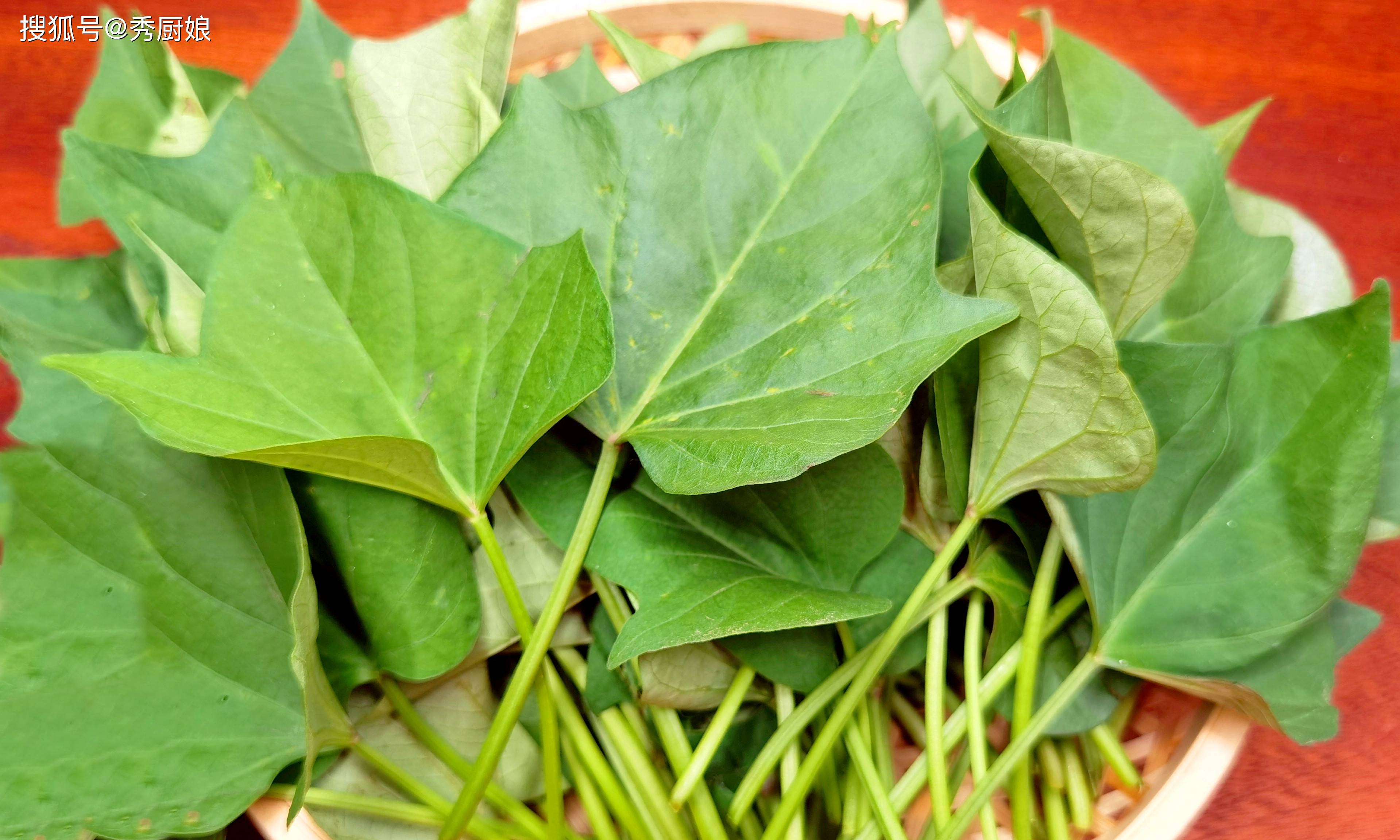 日本人最愛的「長壽菜」!產量大「我們卻很少吃」不要錯過:防癌護血管