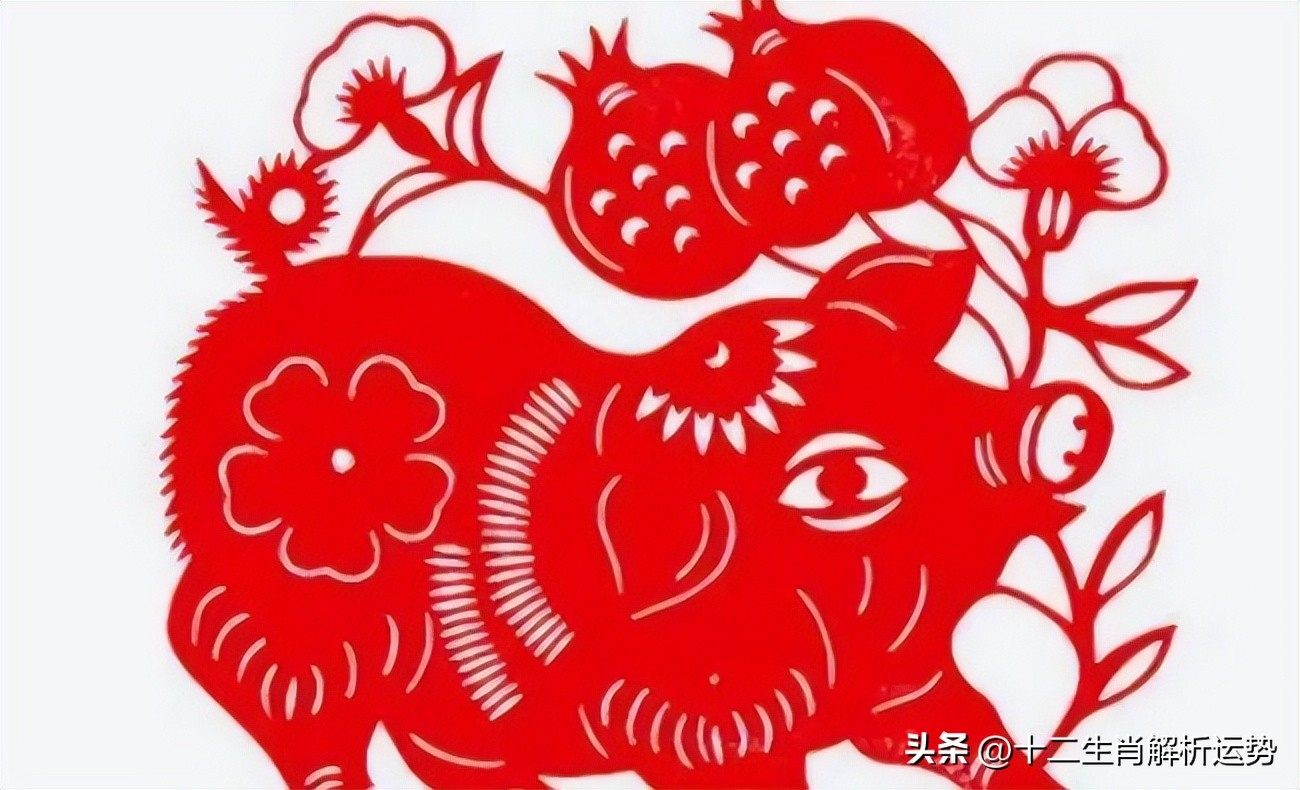 生肖豬：請珍惜3個人！1個陪你一輩子「1個令你逢凶化吉」1個助你錢財滾滾來