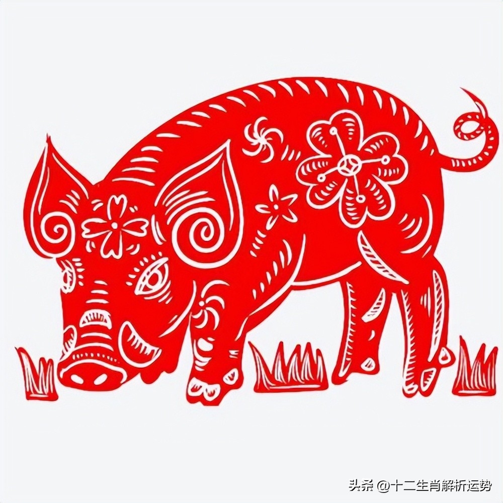 生肖豬：請珍惜3個人！1個陪你一輩子「1個令你逢凶化吉」1個助你錢財滾滾來